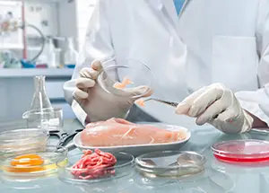 Análisis de muestras de alimentos en laboratorio